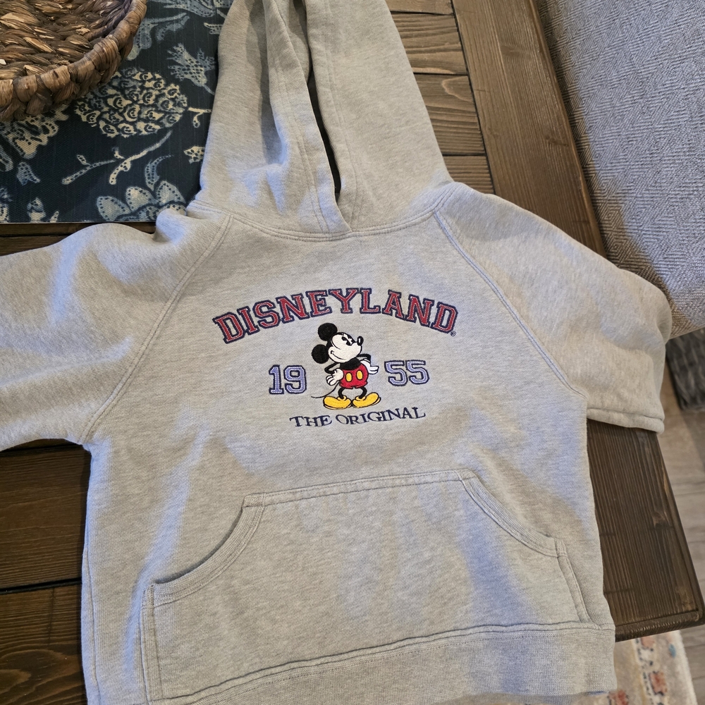 Disney Parks Embroidered Hoodie